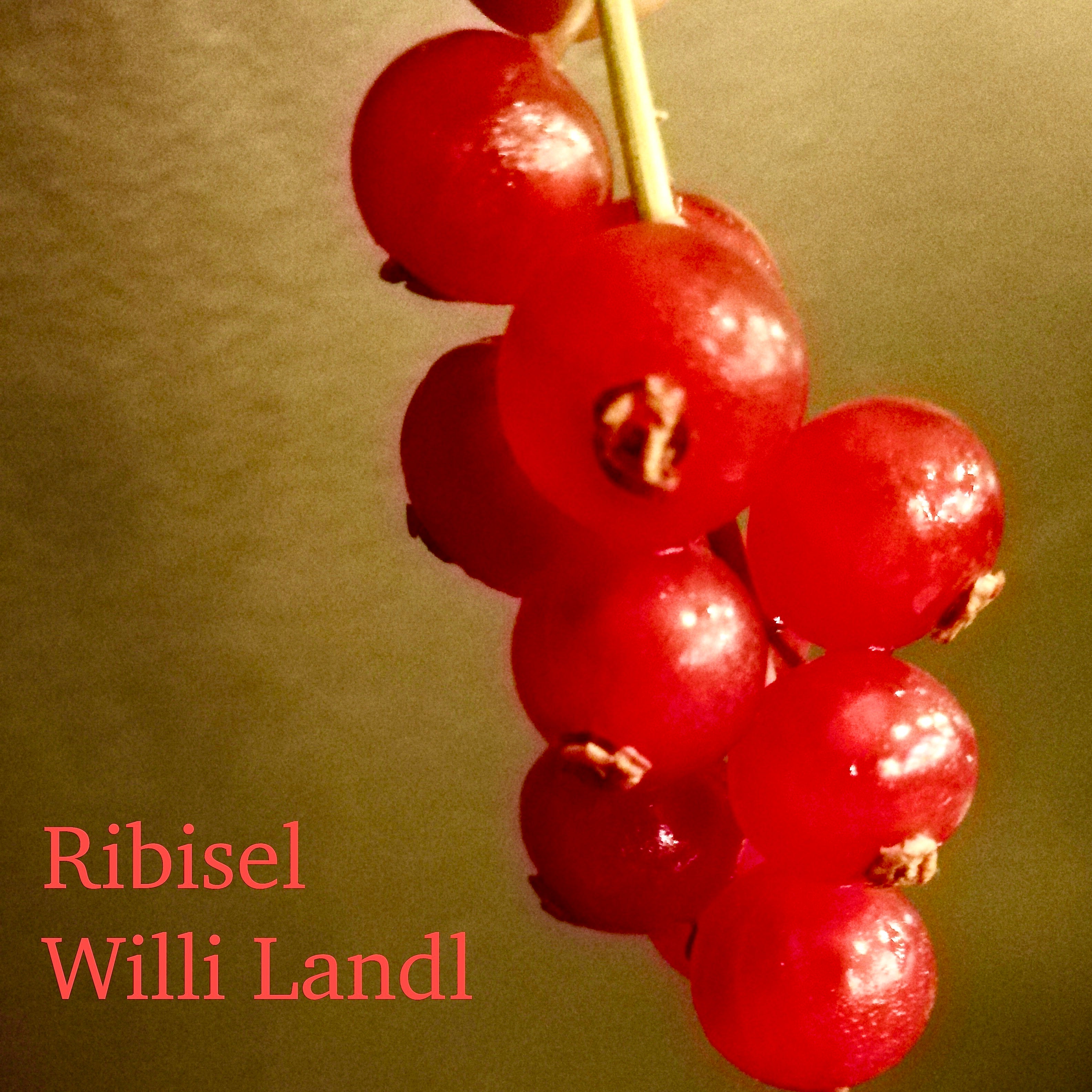 Willi Landl - "Ribisel" (Single)