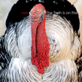 nee. - "The Truth Is On Fire"