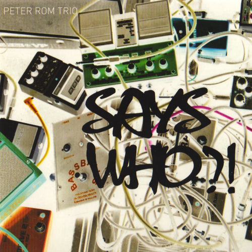 Peter Rom Trio - 